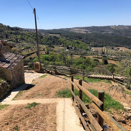 Podere Soccorso Casa Vigneto مونتالشينو المظهر الخارجي الصورة