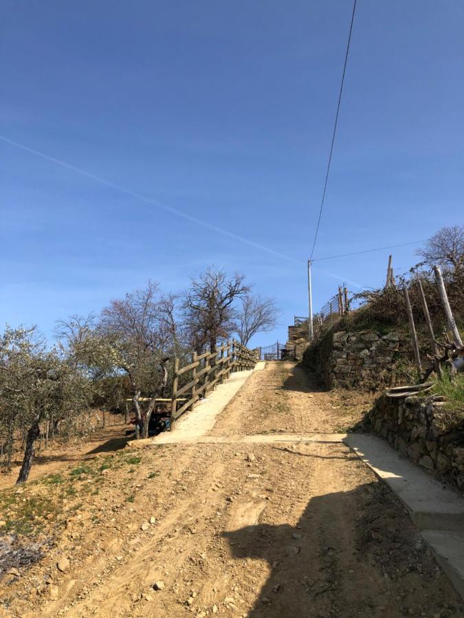 Podere Soccorso Casa Vigneto مونتالشينو المظهر الخارجي الصورة