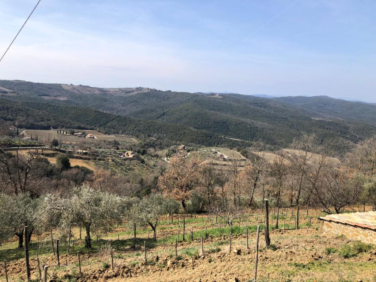 Podere Soccorso Casa Vigneto مونتالشينو المظهر الخارجي الصورة