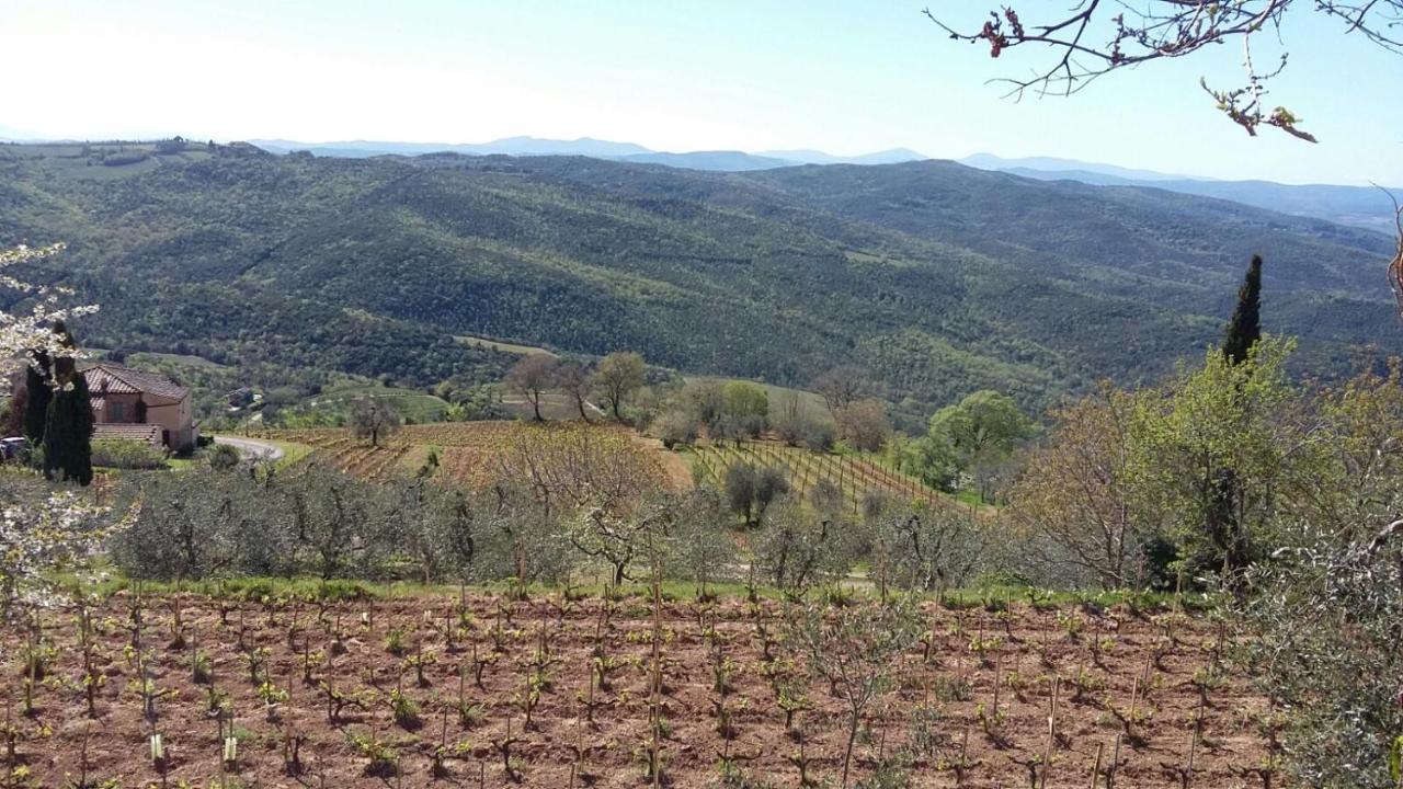 Podere Soccorso Casa Vigneto مونتالشينو المظهر الخارجي الصورة