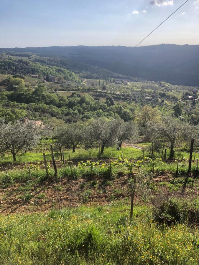 Podere Soccorso Casa Vigneto مونتالشينو المظهر الخارجي الصورة